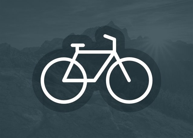 Fahrradservice Wallinger